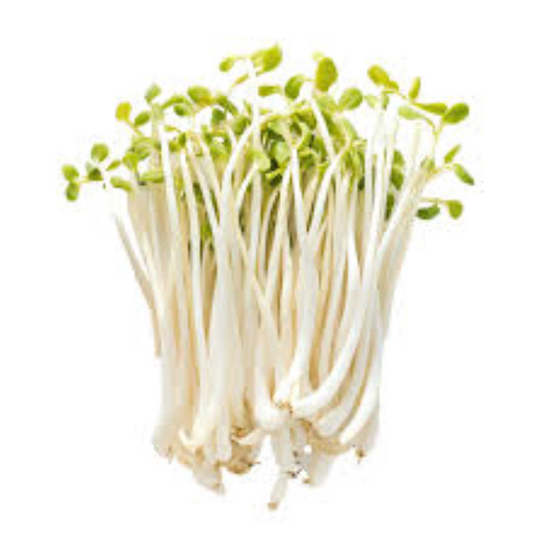 FRESH BEANS SPROUT